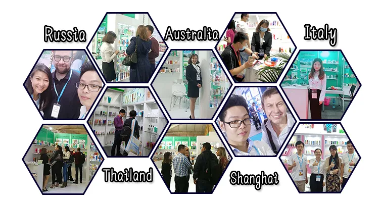 200ml 300ml 500ml Santilizer Pet Plastic Bottle Fine Mist Spray Pump Lotion Pump Trigger Spray Bottle