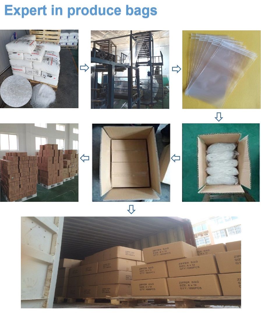 2019 Customized Printed LDPE Plastic Zip-Lock Packing Bag Custom Accept