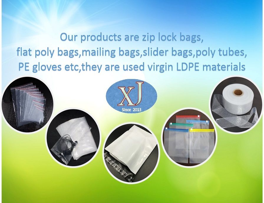 2019 Customized Printed LDPE Plastic Zip-Lock Packing Bag Custom Accept