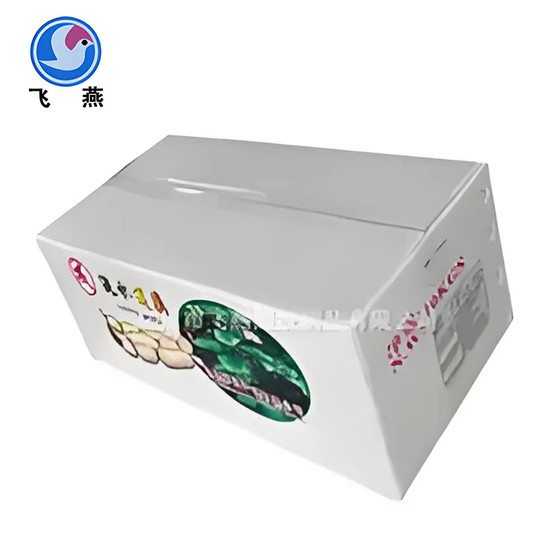 Why Should I Choose a Calcium Plastic Transport Box for My Logistics Needs?