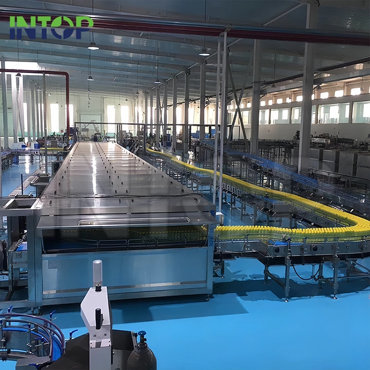 Why Is a Mango Juice Production Line Essential for Large-Scale Mango Processing?
