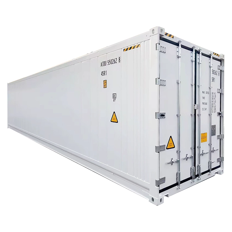 How Energy-Efficient Is a Container Cold Room for Green Vegetables