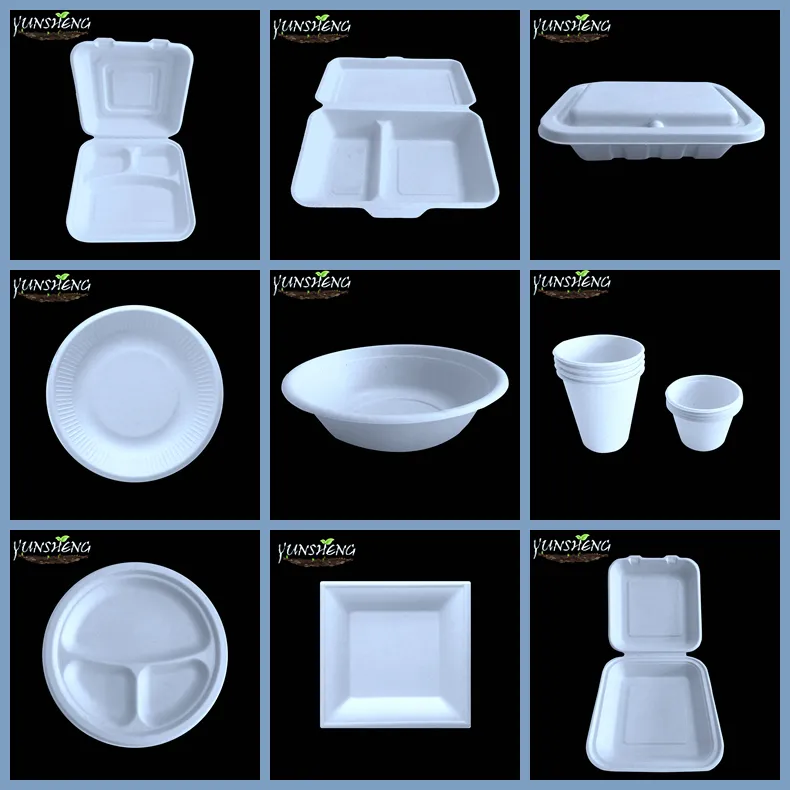 Biodegradable 6X9 Take out Food Containers with Clamshell Hinged Lid for Restaurant Carryout or Party Take Home Boxes