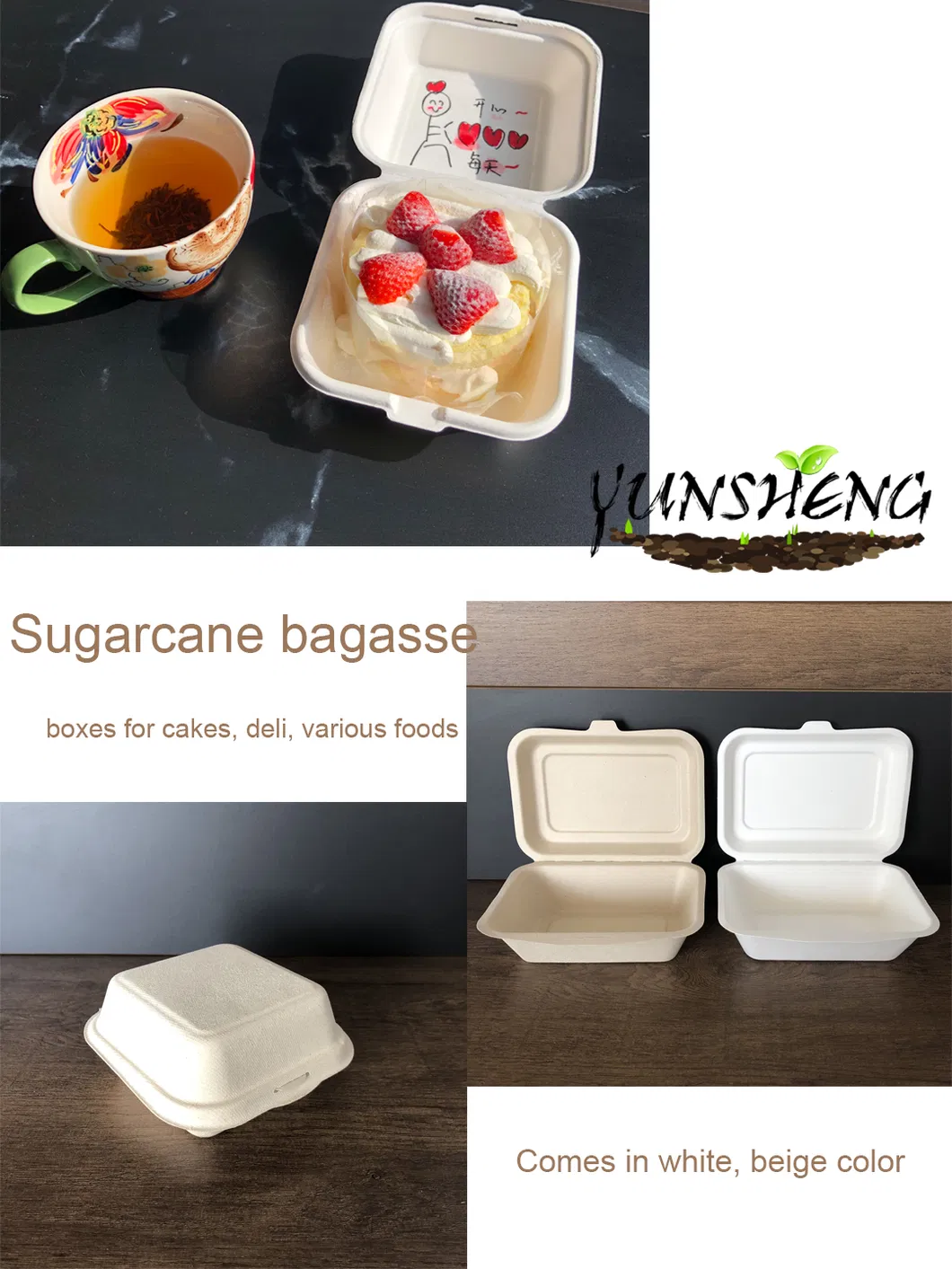 Biodegradable 6X9 Take out Food Containers with Clamshell Hinged Lid for Restaurant Carryout or Party Take Home Boxes