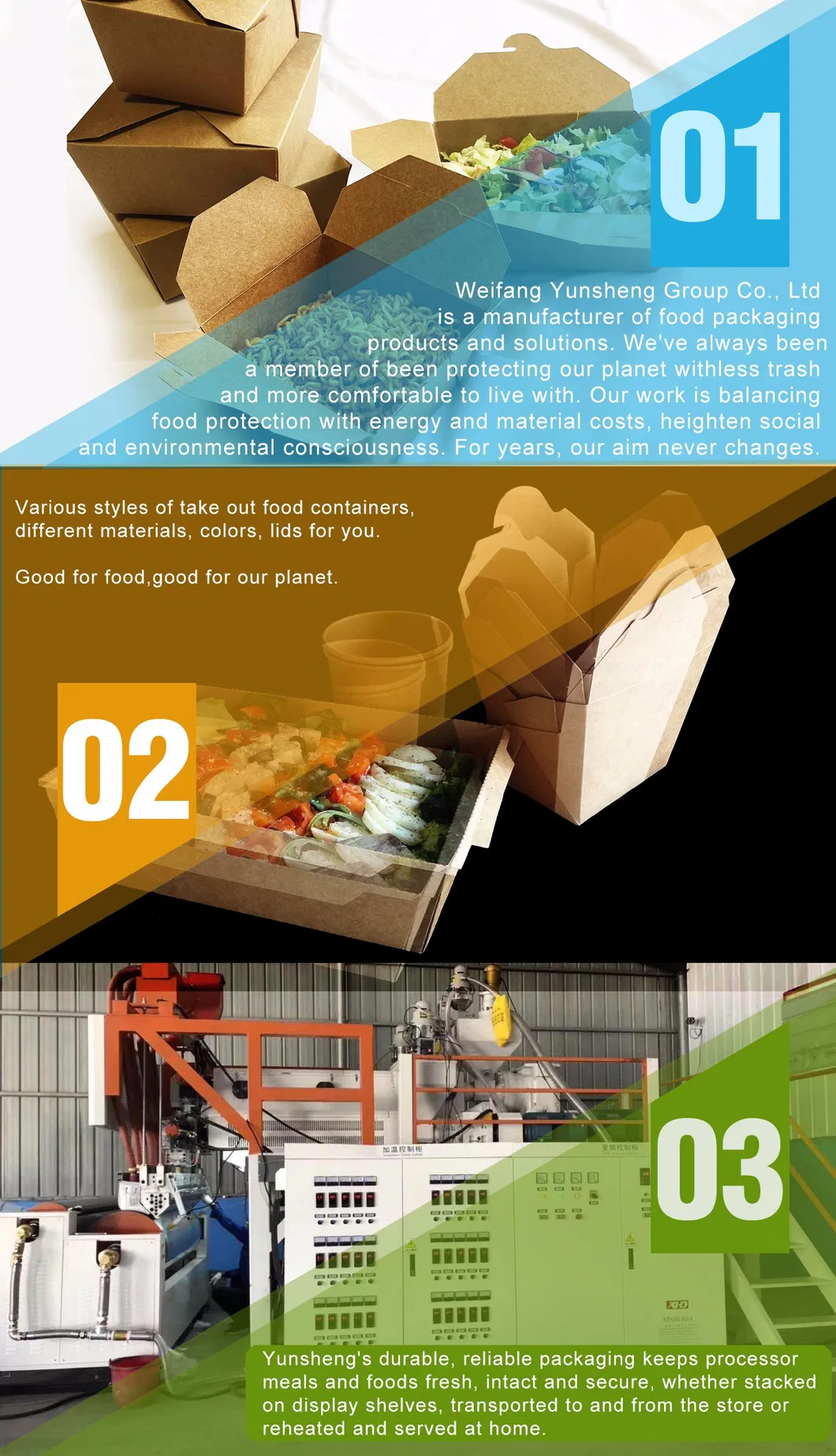 Biodegradable 6X9 Take out Food Containers with Clamshell Hinged Lid for Restaurant Carryout or Party Take Home Boxes