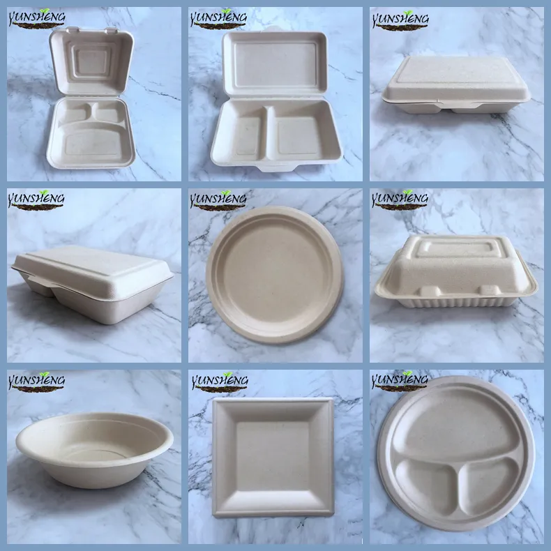 Biodegradable 6X9 Take out Food Containers with Clamshell Hinged Lid for Restaurant Carryout or Party Take Home Boxes