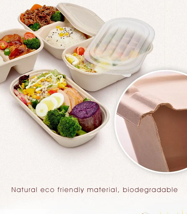 Biodegradable 6X9 Take out Food Containers with Clamshell Hinged Lid for Restaurant Carryout or Party Take Home Boxes