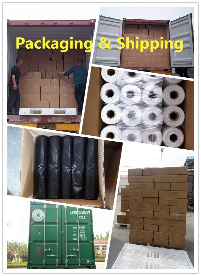 Biodegradable HDPE Star Seal Food Packaging Produce Bag on Roll