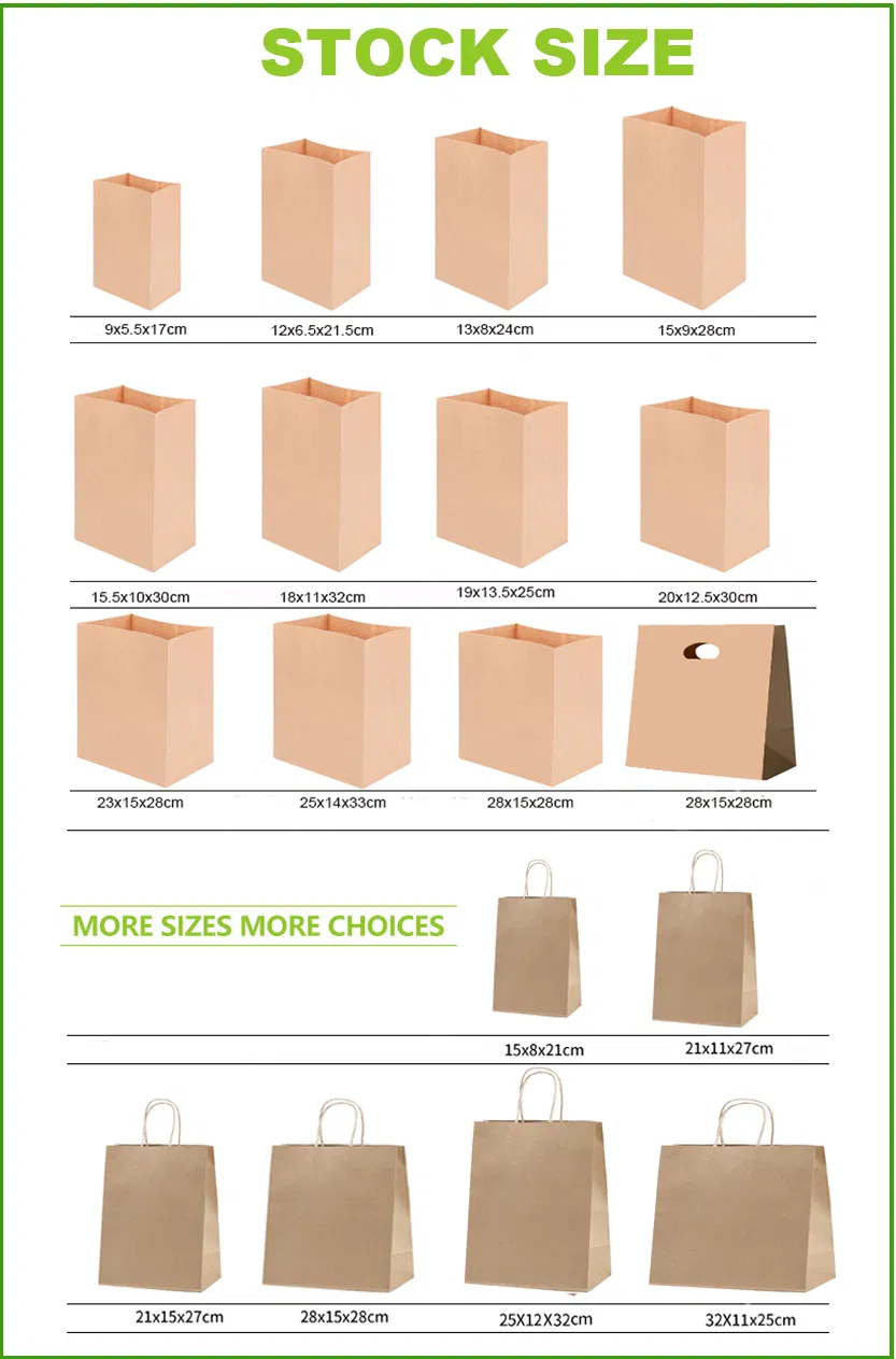 Biodegradable Paper Shopping Bags with Handle Manufacturers