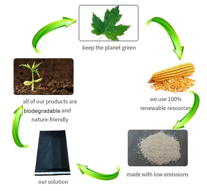 Biodegradable Poly Mailer Compostable Large Satchels Mailing Bags