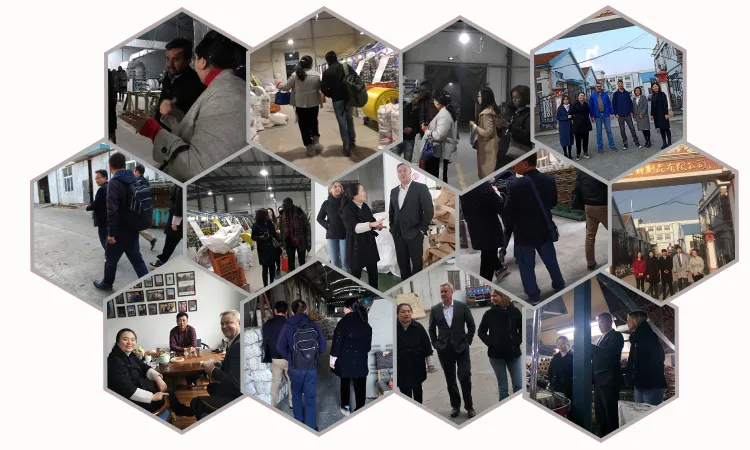 BOPP Film Laminated Polypropylene Fertilizer Bags for Sale