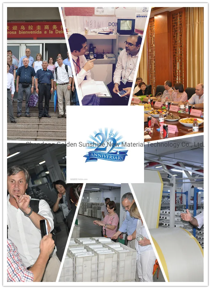 China Flood Sandbags 25kg/50kg PP Woven Plastic Bag