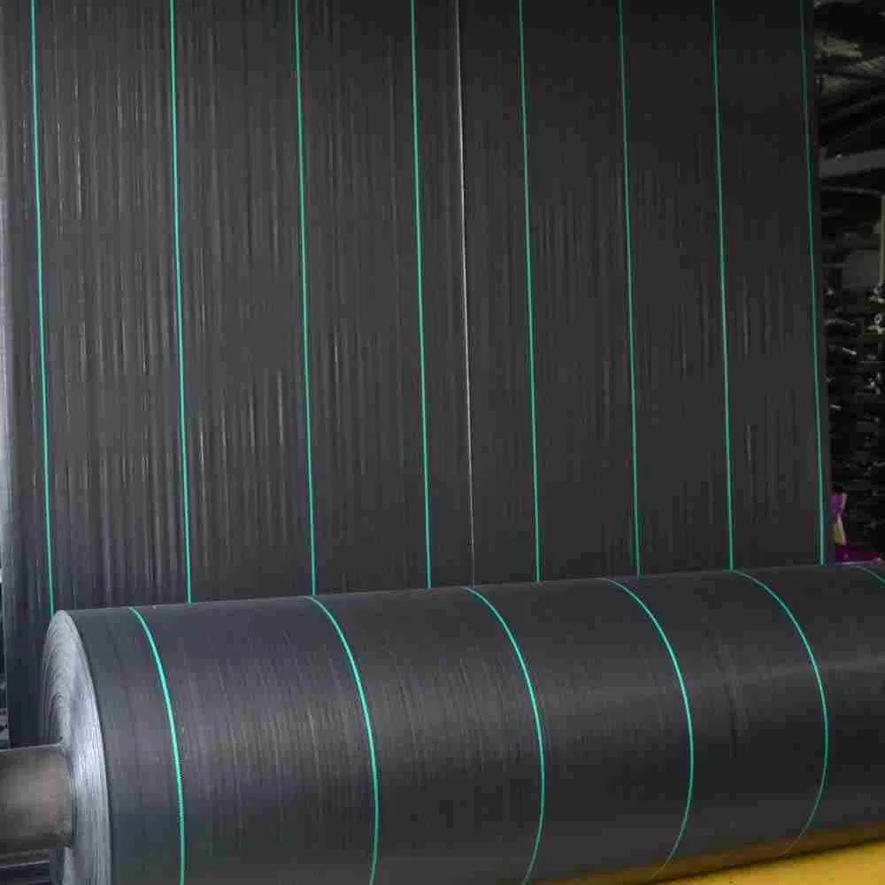 China Whole Sale 100GSM Woven Black Weedmat for Agricultural Ground Cover Fabric Agriculture Product Woven PP Weed Matting