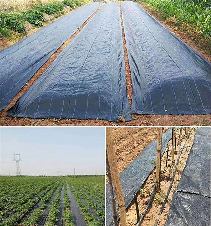 China Whole Sale 100GSM Woven Black Weedmat for Agricultural Ground Cover Fabric Agriculture Product Woven PP Weed Matting