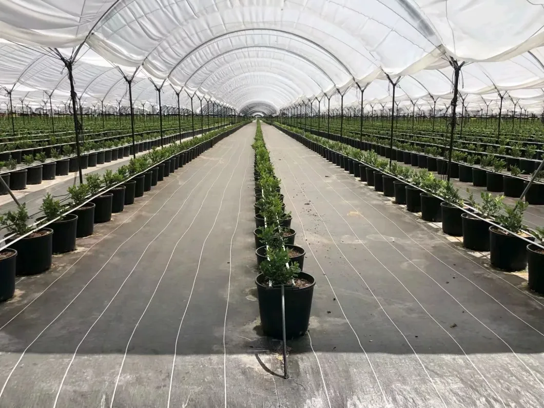 China Whole Sale 100GSM Woven Black Weedmat for Agricultural Ground Cover Fabric Agriculture Product Woven PP Weed Matting
