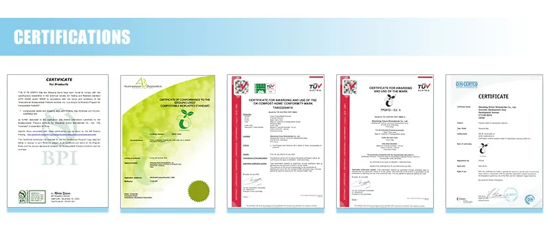 Customized 100 Compostable Large Courier Bag Adhesive Plastic Bag for Mail Packing