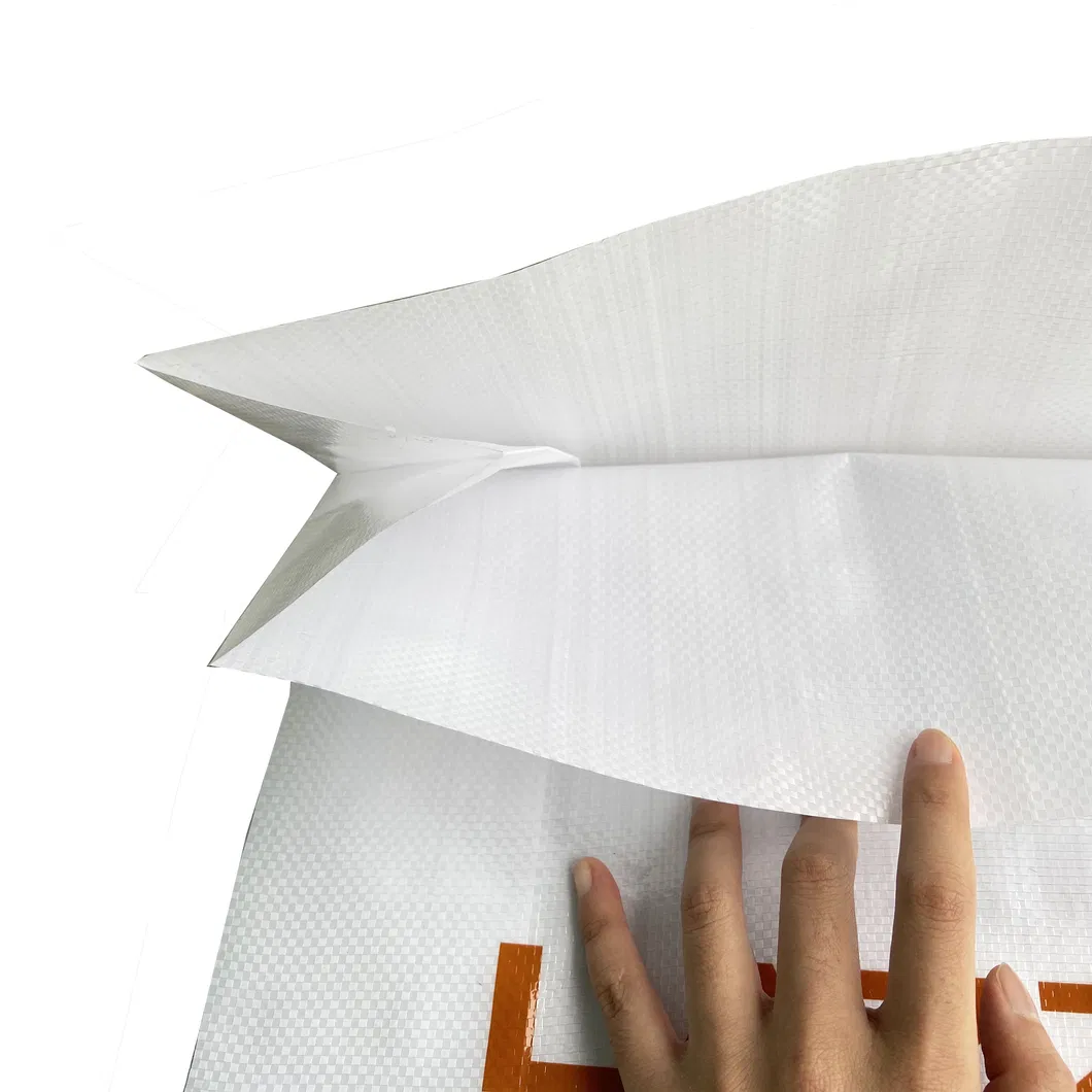 Customized BOPP Laminated PP Woven Bag BBQ Charcoal Bag Barbecue