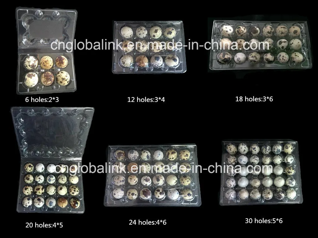 Disposable Clamshell Blister Plastic Egg Packaging Tray 30 Holes Slots