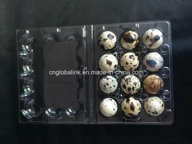Disposable Clamshell Blister Plastic Egg Packaging Tray 30 Holes Slots