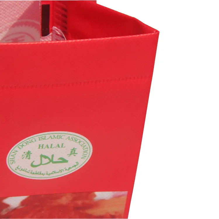 Eco-Friendly Laminated Non Woven Shopping Bag Supplier