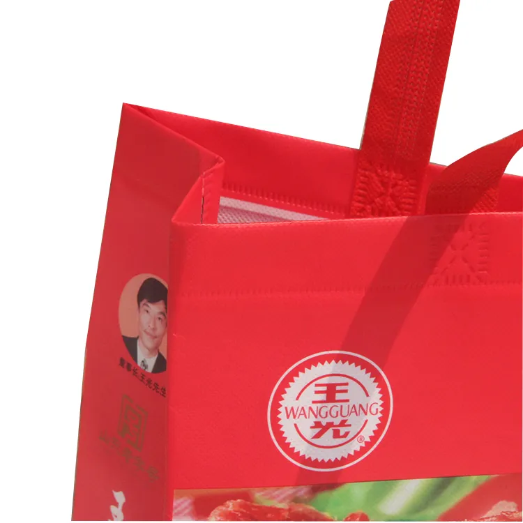 Eco-Friendly Laminated Non Woven Shopping Bag Supplier