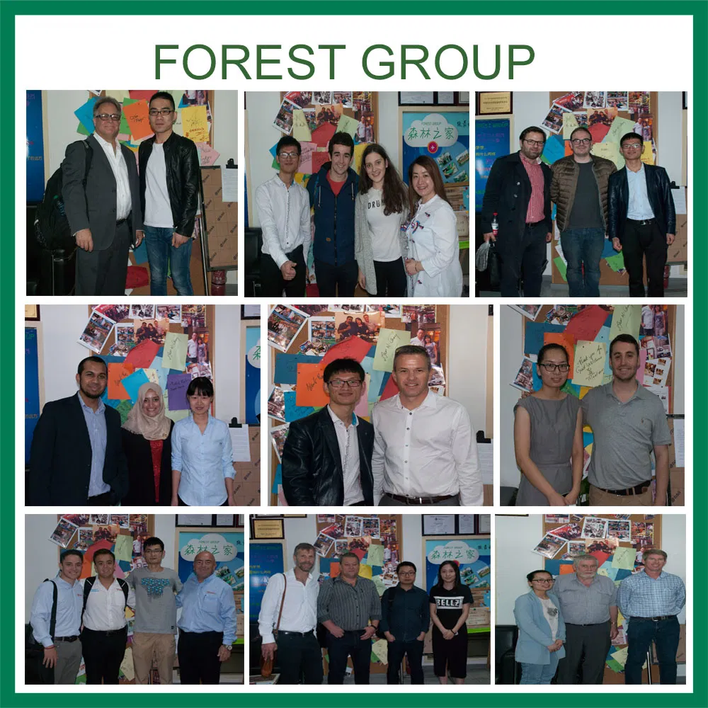 Flexo Printing Corrugated Paper Mailing Boxes for Shipping