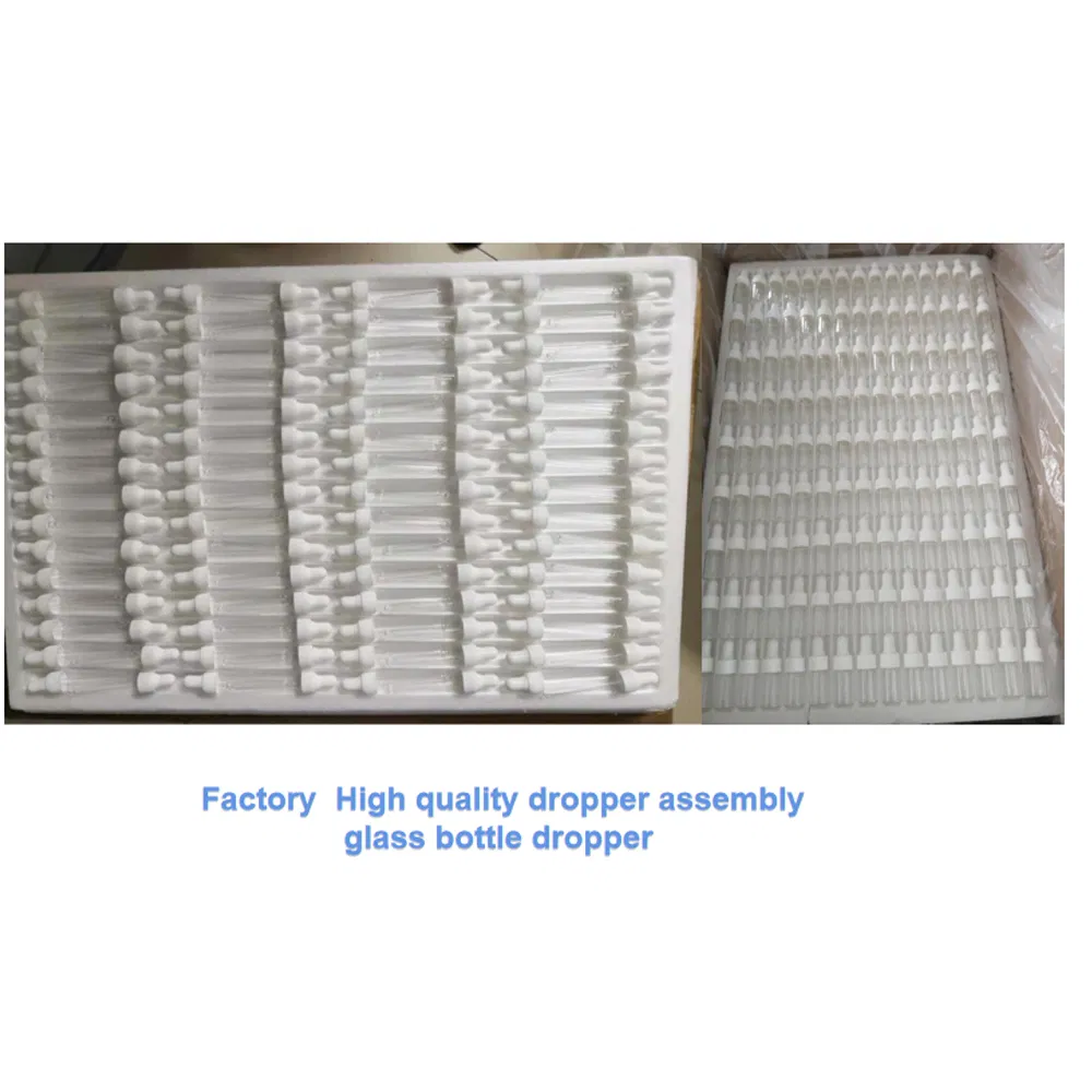 Glass Dropper Pipette with Straight Tips or Curved Tips