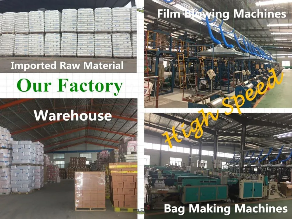 HDPE Vest Handle Plastic Carrier Bag for Shopping