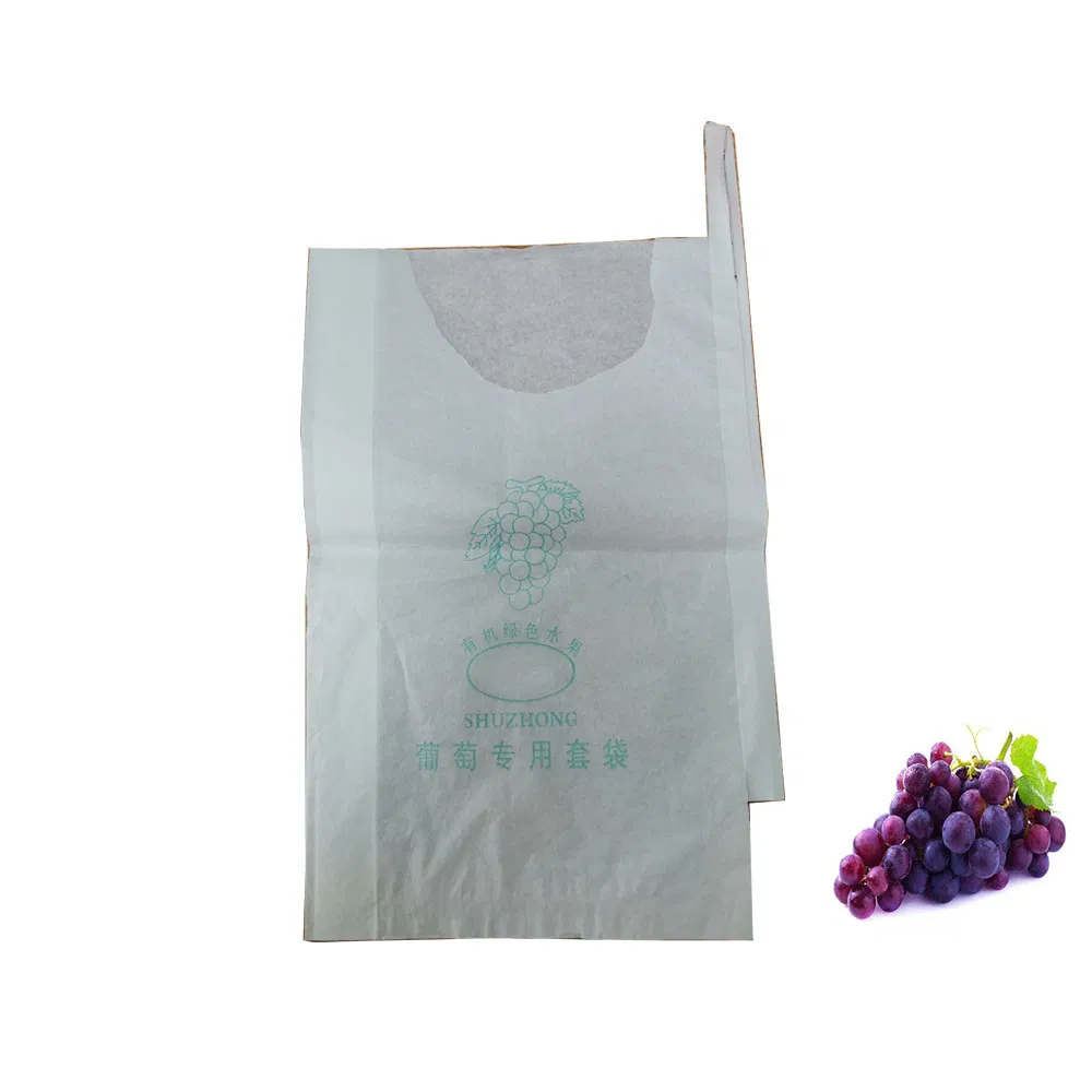 High Grade Composite Paper Moisture-Penetrability Mango Protection Bag for Mango Growing