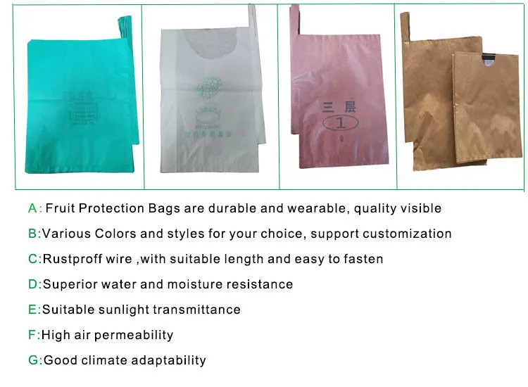 High Grade Composite Paper Moisture-Penetrability Mango Protection Bag for Mango Growing