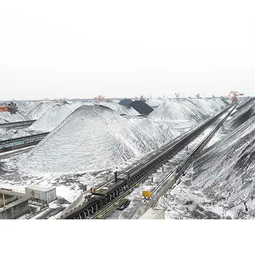 Cold Resistant Conveyor Belt