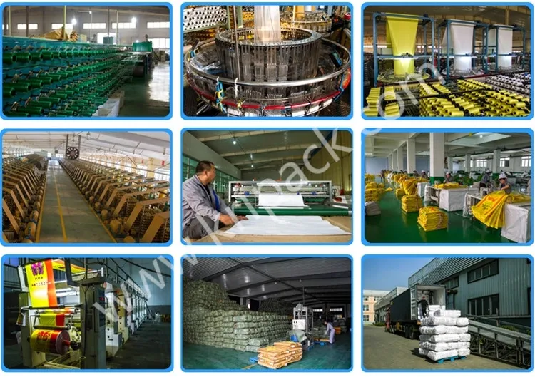 Muli-Color BOPP Laminated Bag for Seed, Rice, Flour