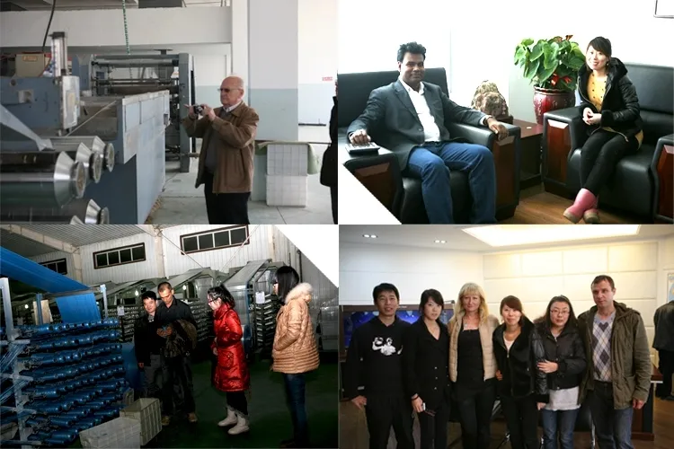 Muli-Color BOPP Laminated Bag for Seed, Rice, Flour