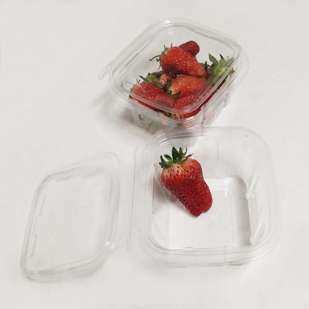 Pet Plastic Punnets Packing Mushroom Fruits to Go Salad Bowl