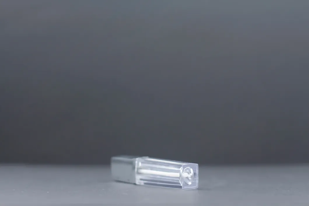 Plastic as Hot Stamping Cosmetic Packaging Makeup Products Lip Glaze