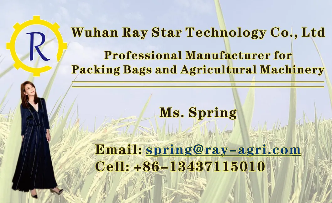 Plastic Bags Paper Bages Woven Bags Paper-Plastic Composite Bags