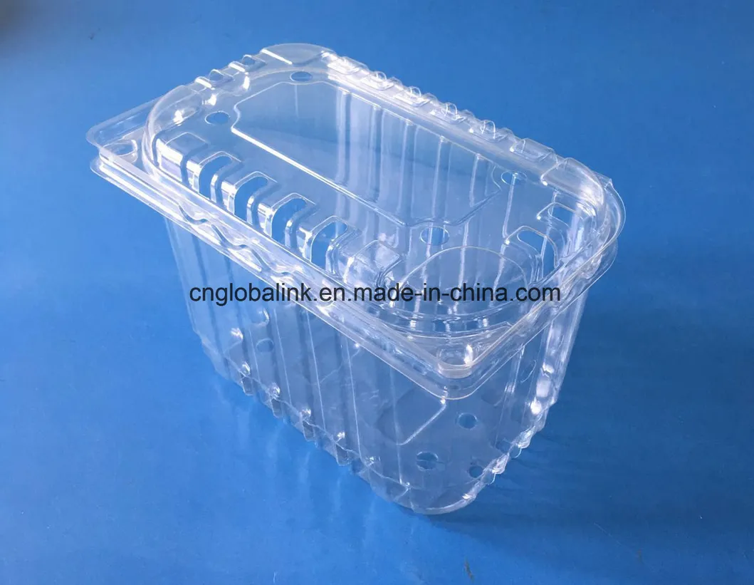 Plastic Fruit Packaging Punnet Food Grade Material Clamshell Blister FDA Offer
