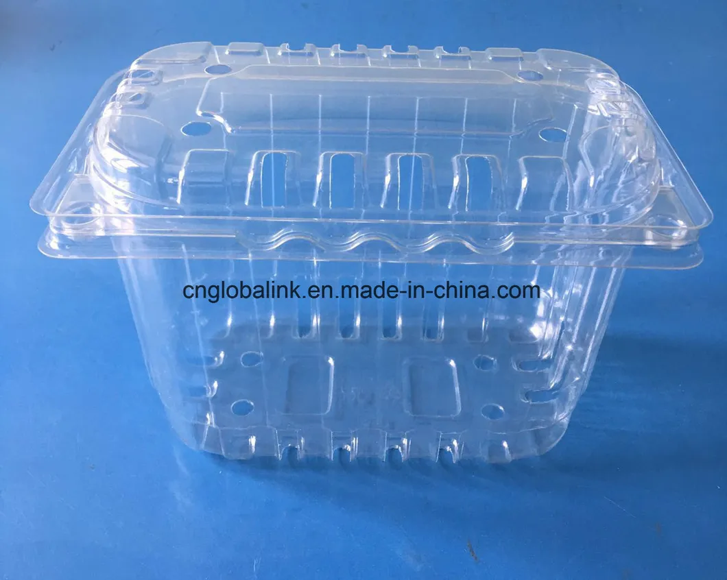 Plastic Fruit Packaging Punnet Food Grade Material Clamshell Blister FDA Offer