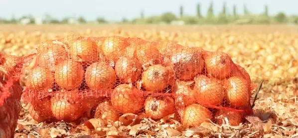 PP Mesh Bags Packing Potato Onion Vegetable