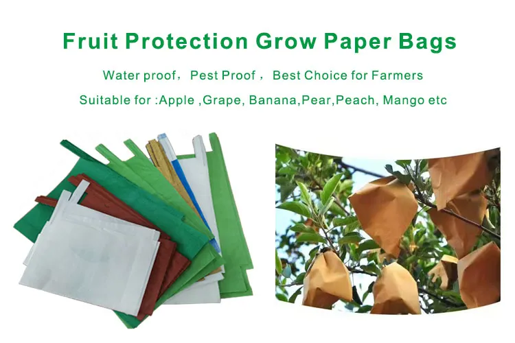 Professional Manufacturer Free Printing of Trademarks Waxed Mango Guava Planting Protection Bag Growing