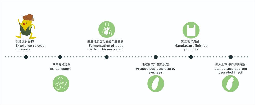 Seedling Certified Starch Based Sandwich Wicket Bag, Biobased, Plant Based Bag