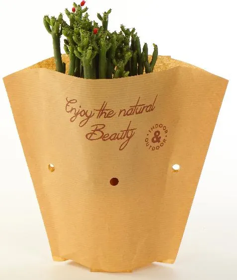 Vegetable Packaging Bag White Paper Bags Brown Paper Packaging Paper Bags with Logo OPP Bag Disposable Food Packaging Personalised Paper Bags Clear OPP Bag