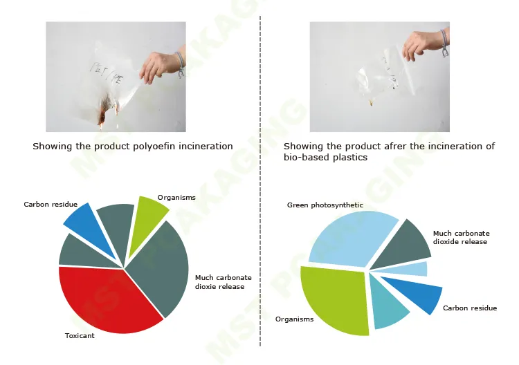 Whey Protein Powder Packaging Box Bottom Coffee Sachets Wholesale From China