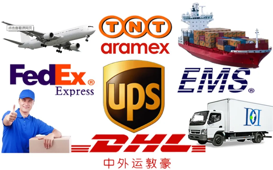 Whole Custom Zip Lock Bags with Logo Clothing Packaging PE Bag Printed Tshirt Plastic Poly Bag