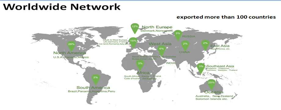 Wholesale Hot Sale Cardboard Packaging Paper Box for Cosmetics