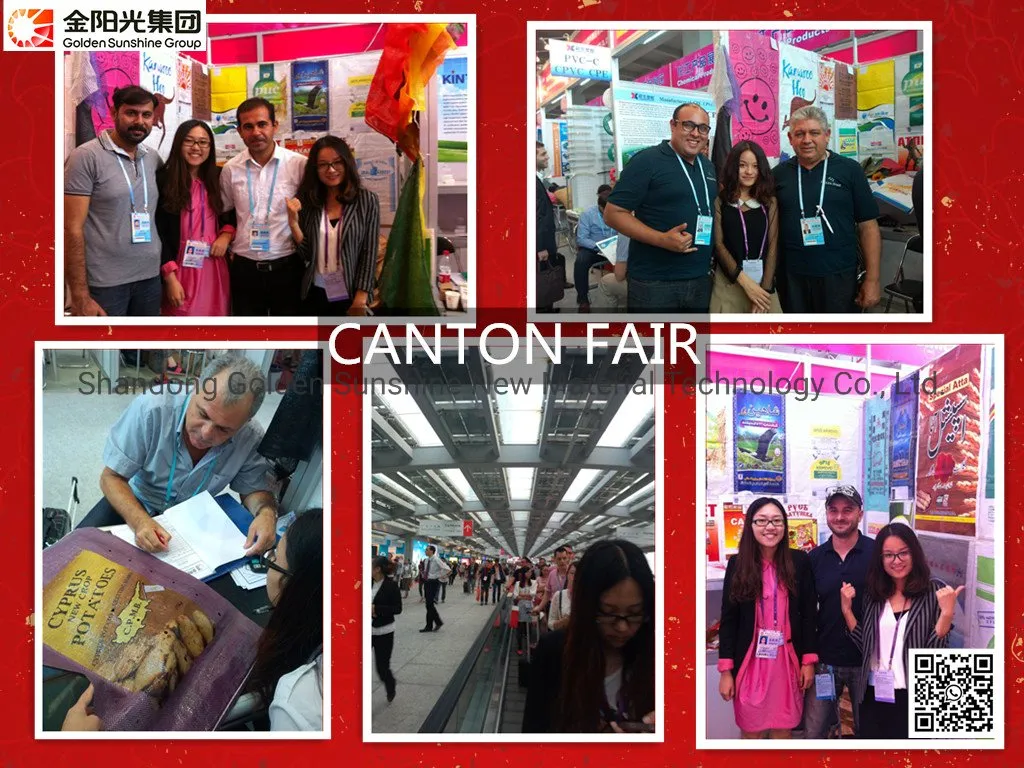 Wholesale White Color Dunnage Air Bag for Container